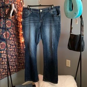 Maurices Bootcut Jeans 👖